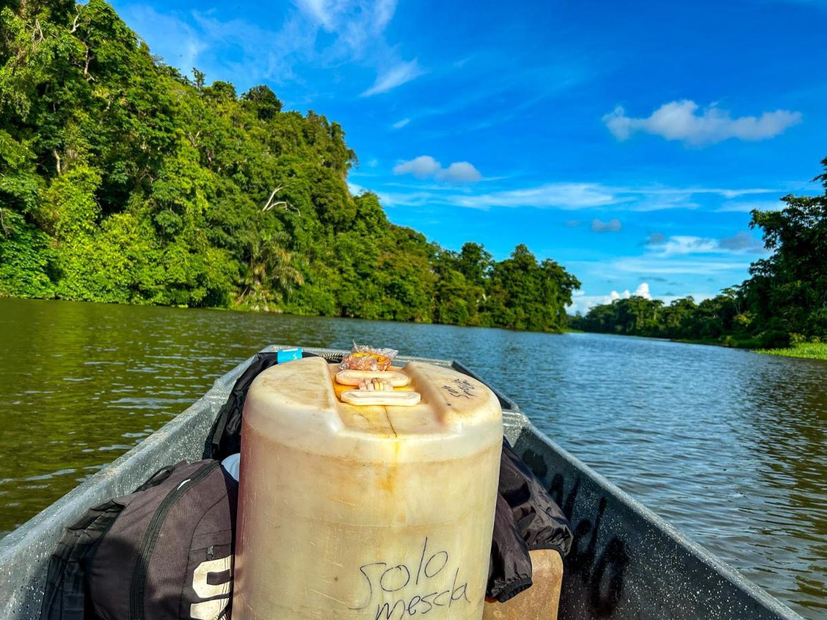 Departamento 7 Tortuguero 아파트 외부 사진
